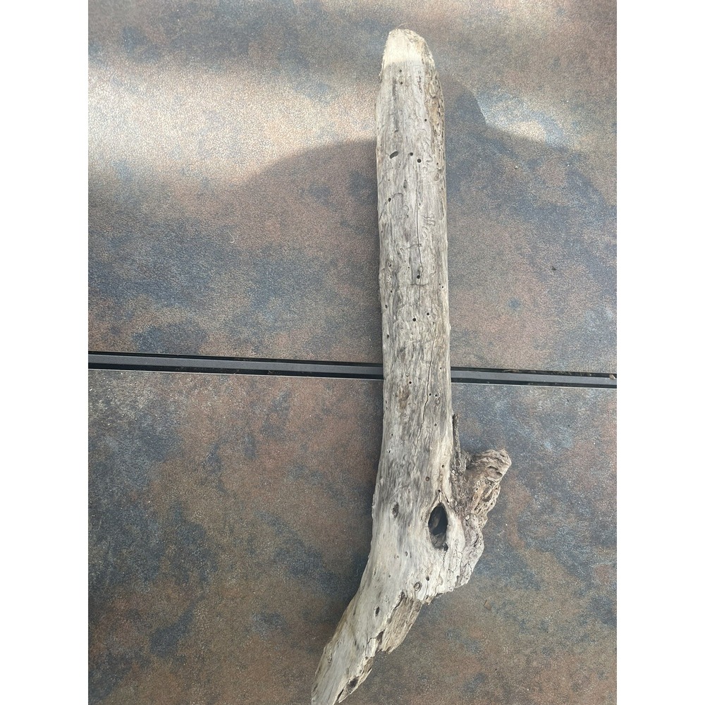 Natural Driftwood for Plants Terrarium Taxidermy Art Projects
